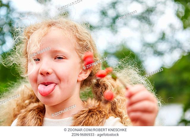 Mädchen streckt frech die Zunge raus beim Hagebutten pflücken im Herbst