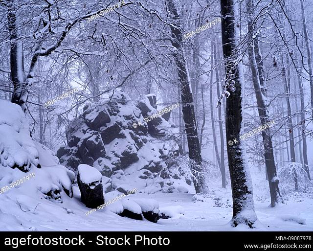 Europe, Germany, Hesse, Siegbach, Lahn-Dill-Bergland Nature Park, winter at the Wilhelmsteinen
