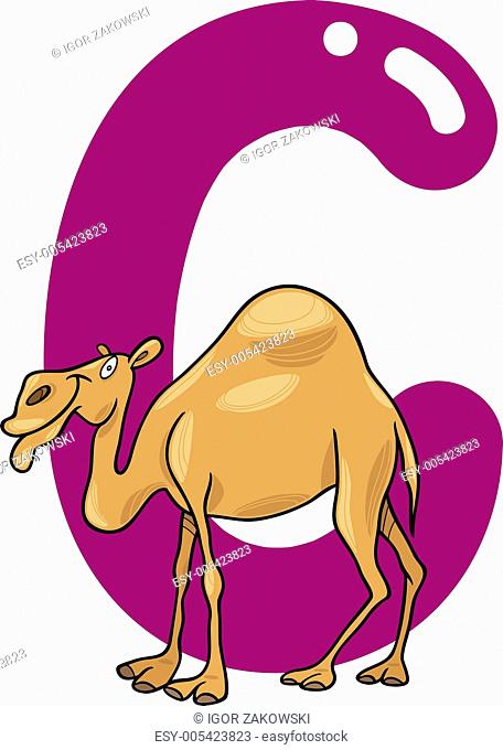 C for camel