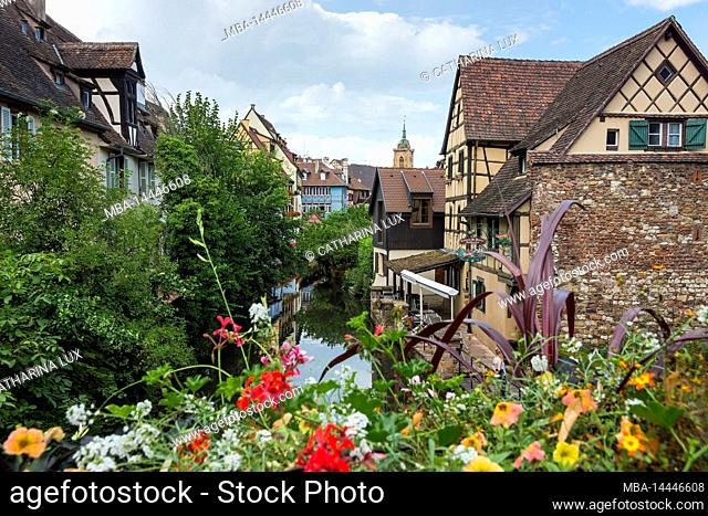 France, Alsace, Colmar, old town, little Venice, flower decoration