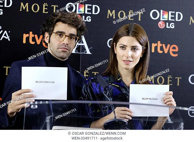 'Candidates to Goya Cinema Awards 2017' press conference at Academia de Cine Featuring: David Vardaguer, Barbara Lenie Where: Madrid
