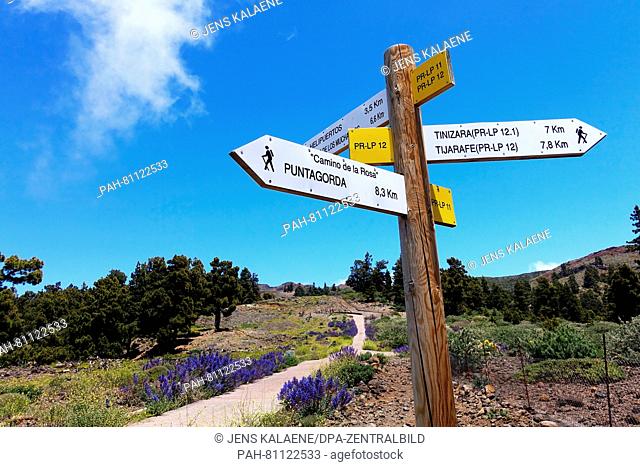 A picture dated 25 May 2016 shows a signpost pointing to different hiking routes in the national park Caldera de Taburiente on the Canary island of La Palma