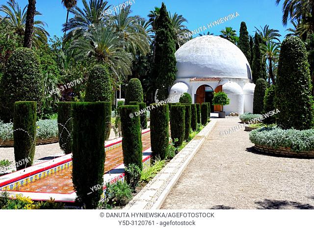 Palmeral - Moorish date palm orchards - designated by UNESCO as a World Heritage Site, Elche, Elx, Alicante province, Valencian Community, Costa Blanca, Spain