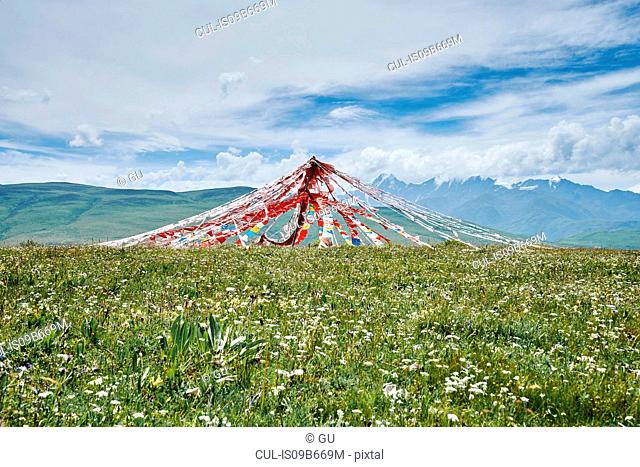 Prayer flags in landscape, Luhuo, Sichuan, China