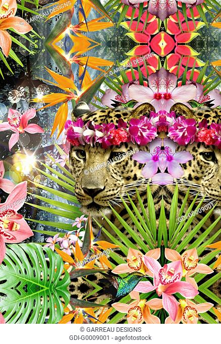 Collage of jaguars and tropical plants