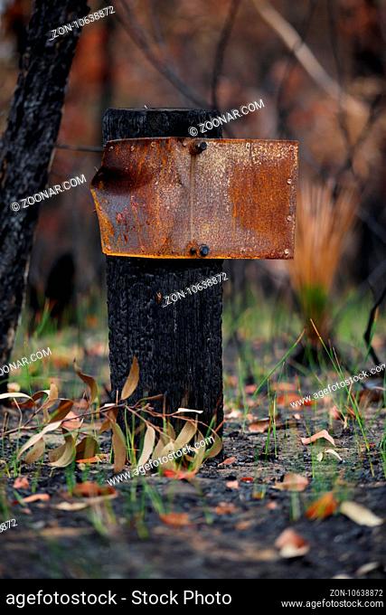 After the Patonga fires of December 2016. This old sign and post among some new regeneration just starting to show
