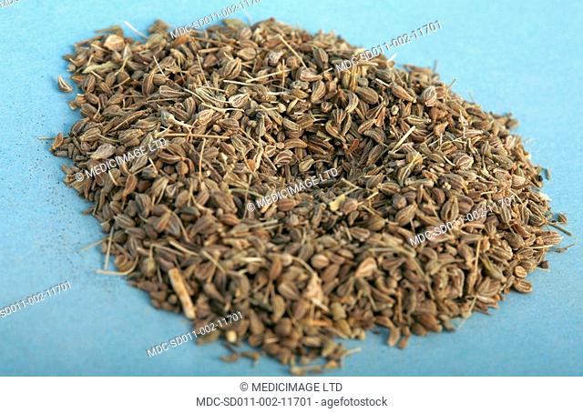 Anise fruit contains anethole, an aromatic compound that accounts for its distinctive liquorice flavor. Anise leaves can be used to treat digestive problems