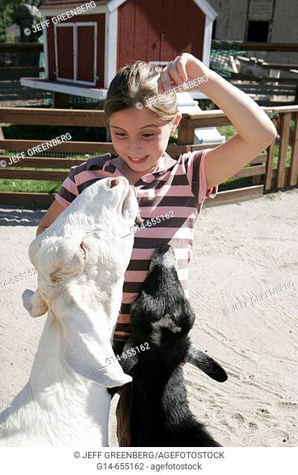 Washington Park Zoo, girl, goat, petting area. Michigan City. Indiana. USA