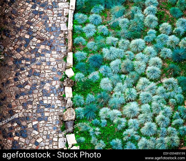 Cobbled Road and Green Plants in San Giorgio Fortress in Lisbon, Portugal