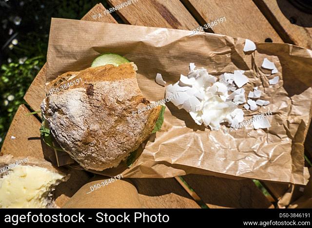 Bread, a cracked hardboiled egg, and a bowl of musli yogurt on a picnic table