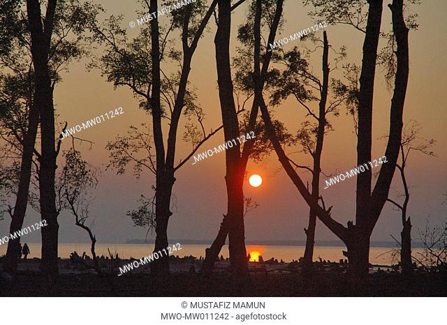 Sunset by the beach in Katka in the Sundarbans, a UNESCO World Heritage Site and a wildlife sanctuary The largest littoral mangrove forest in the world