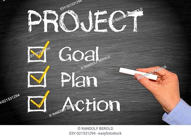 Project - Goal Plan Action
