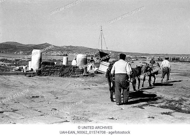 Griechenland, Greece - Bauern gehen mit ihren Eseln zum Hafen von Delos, Griechenland, 1950er Jahre. Farmers take a walk with their donkeys to the harbor of...