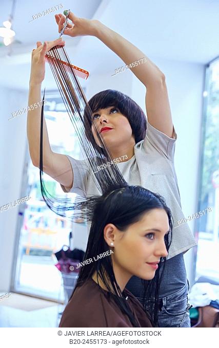 Hairdresser cutting customer's hair. Hairdressing salon and Beauty Clinic