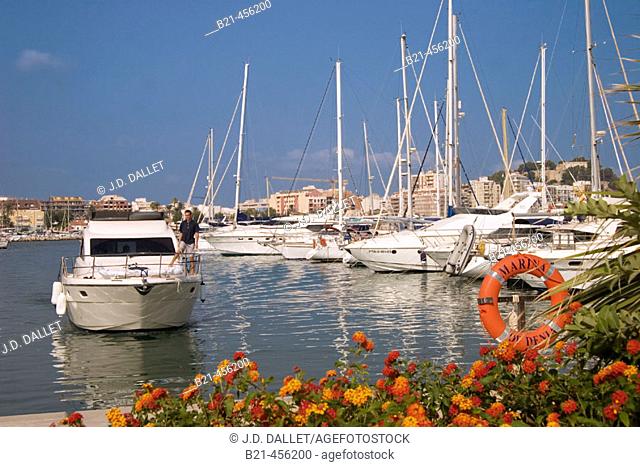 Marina of Denia. Alicante province. Spain