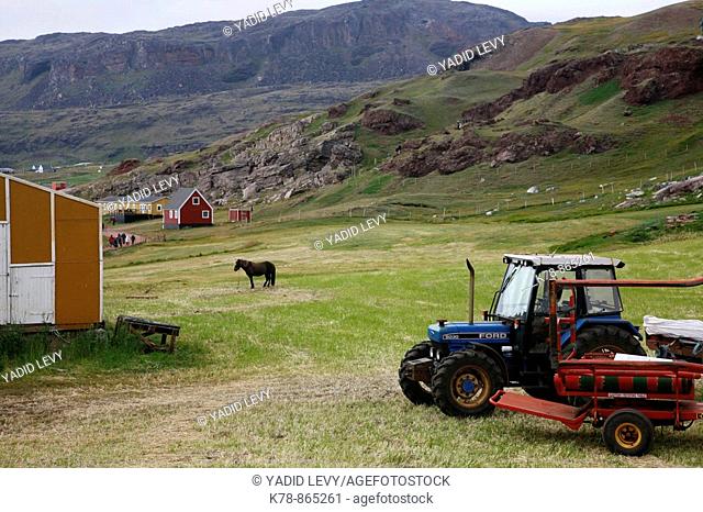 Farm at Eriks the Red first settelment Brattahlid, known today as Qassiarsuk, South Greenland