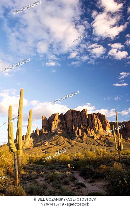 Cactus and Superstition Mountains - Lost Dutchman State Park - Apache Junction, Arizona USA