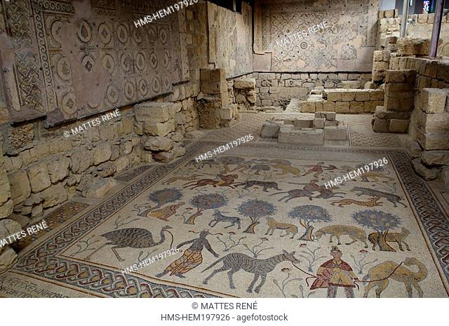 Jordan, Madaba Governorate, mosaics of Mount Nebo Church