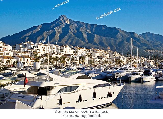 Un fiel menú sábado Puerto Banús marina, Marbella. Málaga province, Costa del Sol, Foto de  Stock, Imagen Derechos Protegidos Pic. N28-459567 | agefotostock