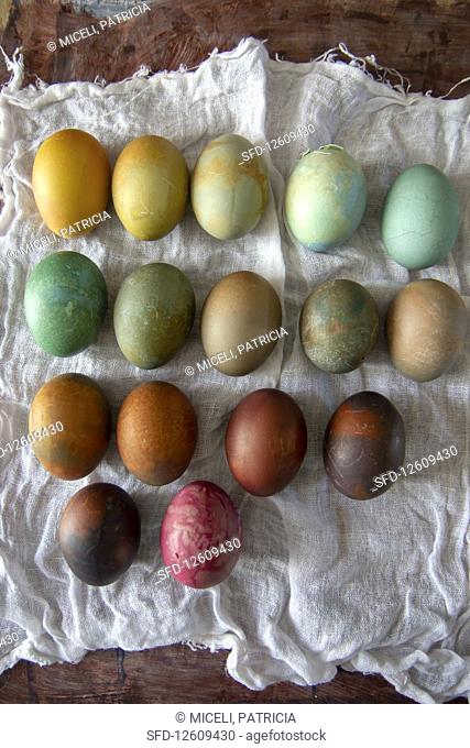 Color eggs