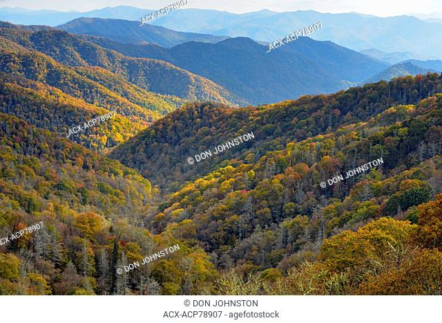Autumn colour on the mountain slopes from the Oconoluftee Overlook, Great Smoky Mountains NP, North Carolina, USA