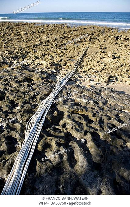 cables connecting current from the power supply on the beach to the structure of bio-rock, method of enhancing the growth of corals and aquatic organisms