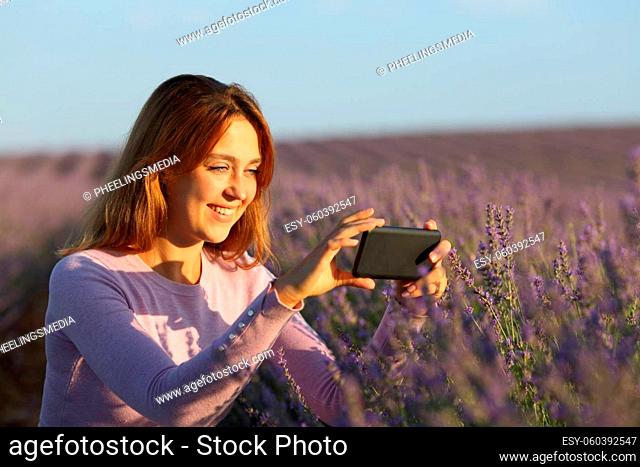 Woman taking photos with smartphone in lavender field