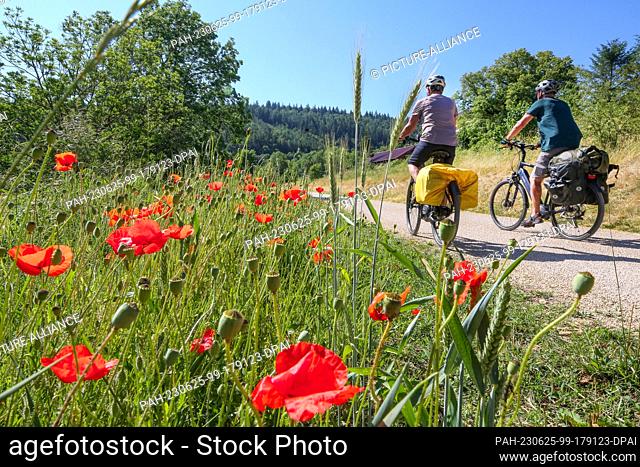 25 June 2023, Baden-Württemberg, Sigmaringen: Cyclists are on the road near Gutenstein in the Danube valley. After the warm temperatures of the last few days