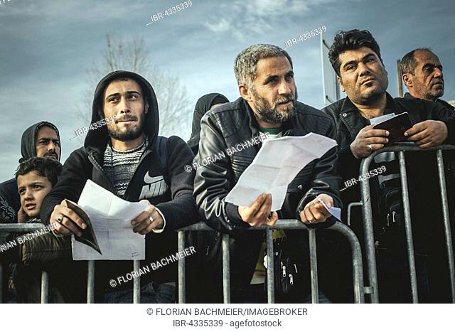 Idomeni refugee camp on the Greece-Macedonia border, new arrivals registration, Idomeni, Central Macedonia, Greece