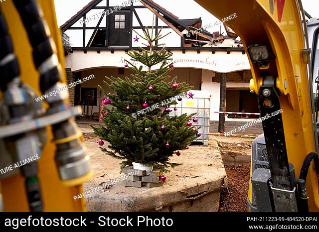 21 December 2021, Rhineland-Palatinate, Mayschoß: A Christmas tree stands in front of a flood-damaged house in Mayschoß. At Christmas 2021