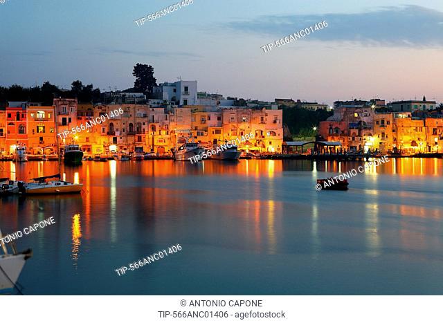 Italy, Cmpania, Procida, Marina Grande harbour at dusk