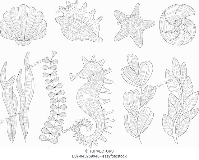 Underwater Nature Set Adult Zentangle Coloring Book Illustration. Black And White Hand Drawn Element For Coloring In Cool Trendy Design