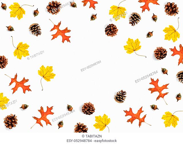 Autumn mockup scene. Creative fall composition made of colorful maple, oak leaves, pine cones and acorns, flat lay. Isolated natural objects on the white...