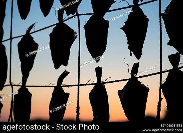 Silhouette of fish hanging to dry at the beach in Liseleje, Denmark