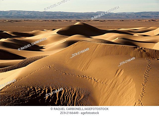 Sahara desert sand dunes, Erg Lihoudi, M'Hamid, Draa Valley, Morocco