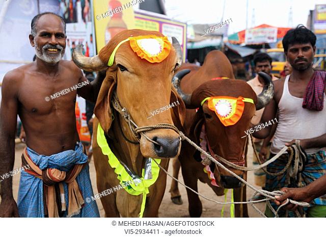 Men lead cows at a cattle market the day before Eid-al-Adha in Dhaka, BangladeshEid al-Adha called the ""Sacrifice Feast""