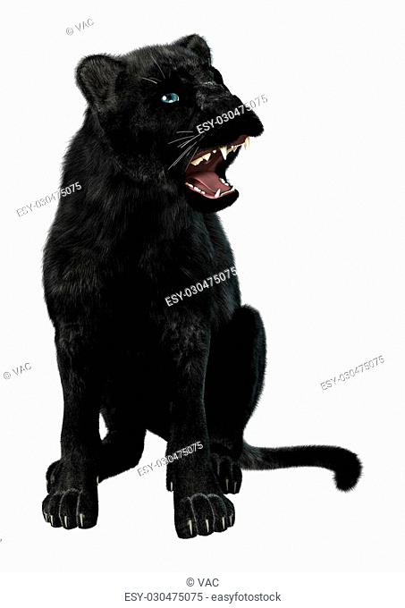 Black panther angry animal Stock Photos and Images | agefotostock