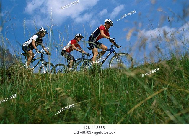 Mountainbikers, Passo Pordoi, Dolomites, Italy, Europe