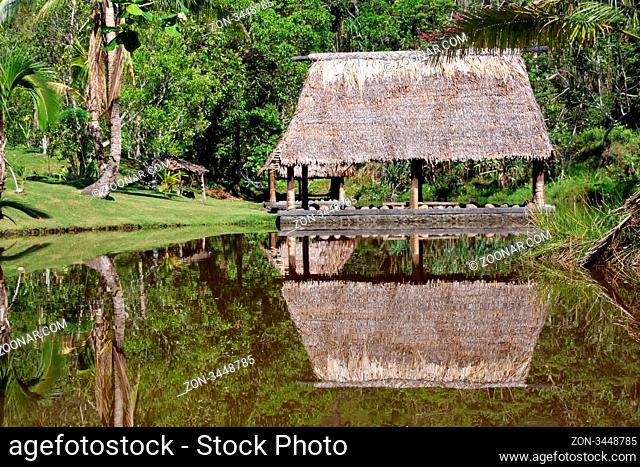 Hut with straw roof on the bank of river in Fiji