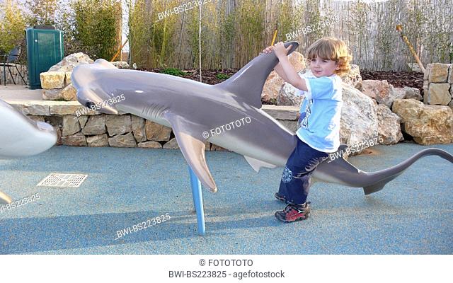common hammerhead shark, smooth hammerhead (Sphyrna zygaena, Zygaena malleus), little boy riding on a hammerhead shark model