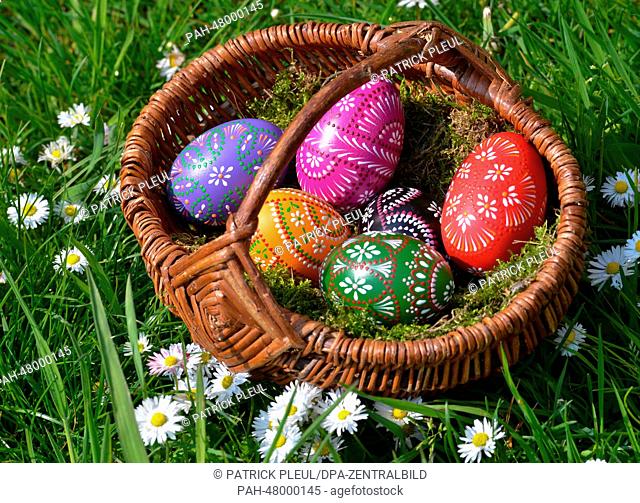 A basket filled with decorated duck eggs lies on a meadow at the Spreewald forest village Lehde, Germany, 19 April 2014. The Spreewald biosphere reserve south...