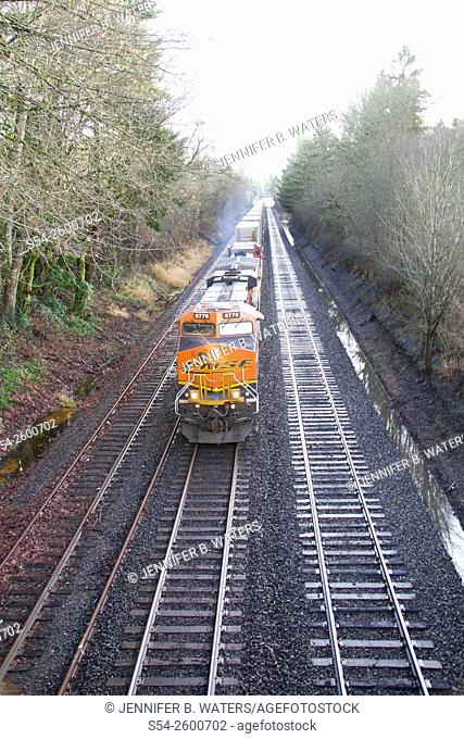 A BNSF stack train in Titlow Park, Tacoma, Washington, USA
