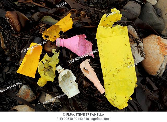Plastic litter with fish bite marks, washed up on beach, Kimmeridge, Isle of Purbeck, Dorset, England, February