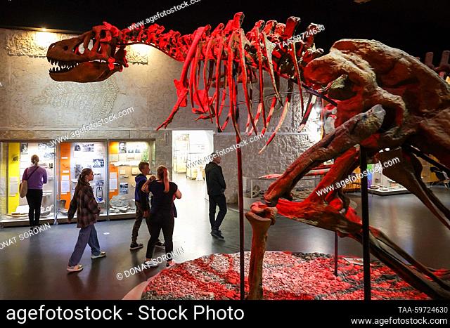 RUSSIA, PERM - JUNE 10, 2023: A replica of a Tarbosaurus skeleton is on display at the Museum of Perm Prehistory. Donat Sorokin/TASS