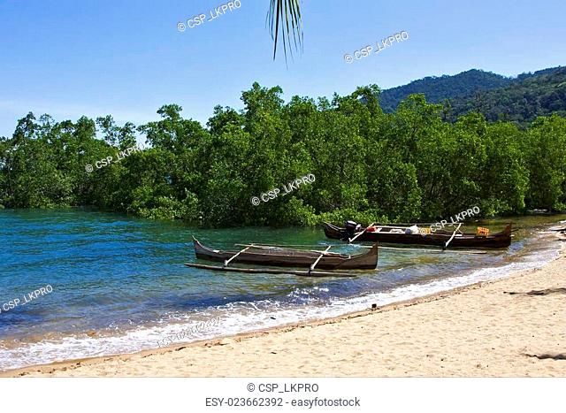 madagascar nosy be rock stone branch boat palm lagoon and coastline
