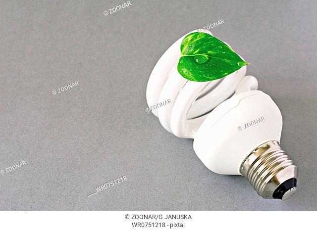 eco lightbulb with green leaf