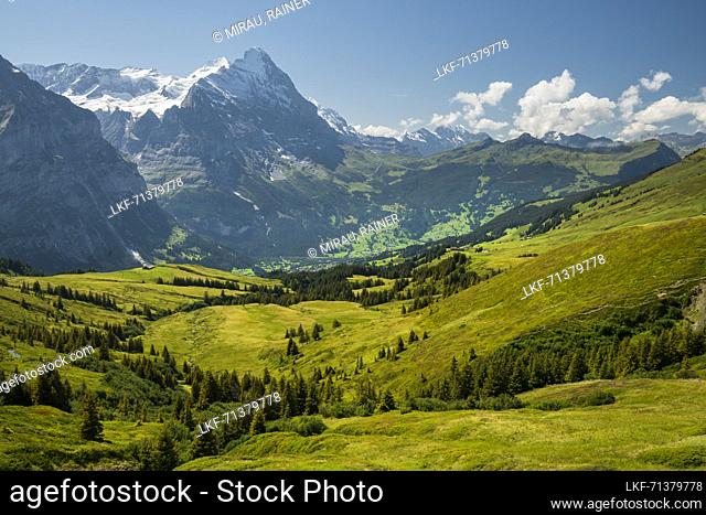 Eiger from Alp Grindel, Grindelwald, Bernese Oberland, Switzerland