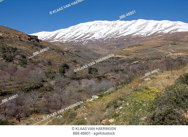 View at Mount Hermon trough a valley with flowering fruit trees
