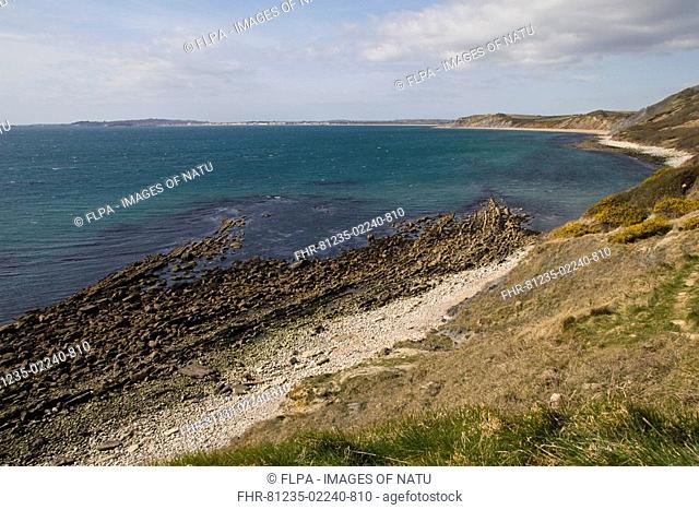 Coastal bay with underwater corallian limestone barrier running westwards, Osmington Mills, Dorset, England, march