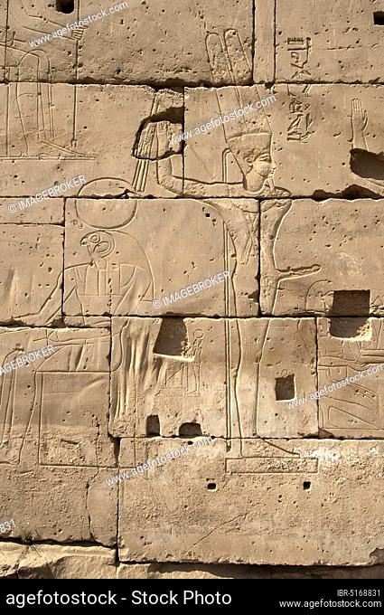 Fertility god Amun-Min, phallus, symbol of fertility, bas-relief, granite, Luxor temple, Thebes, Luxor, Egypt, Africa